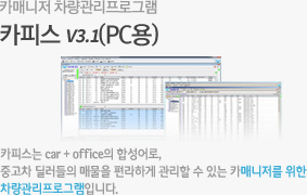 카피스 V3.1(PC용)